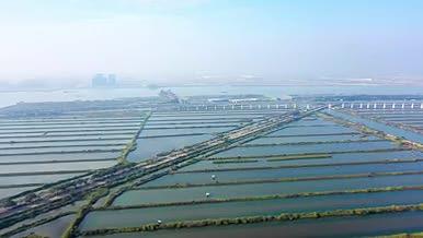 4k航拍水产养殖农业经济发展视频的预览图